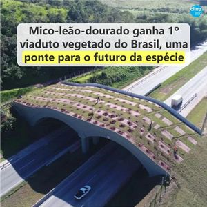 Image post by @operitoambiental on Instagram