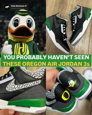 Image post by @soleretriever on Instagram