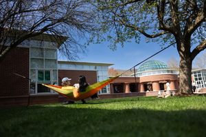 Image post by @quinnipiacu on Instagram