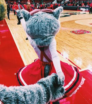 Image post by @ncstate on Instagram