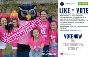 Image post by @riceathletics on Instagram