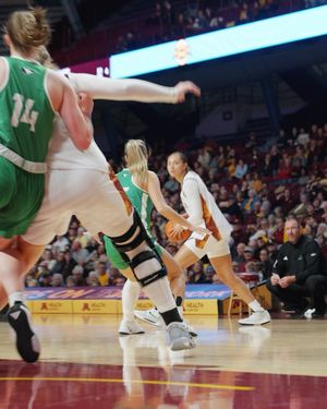 Image post by @gopherwbb on Instagram