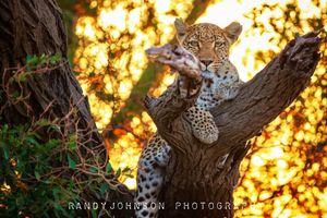 Image post by @rj51photos on Instagram