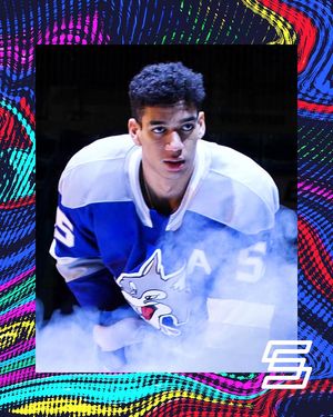 Image post by @sherwoodhockey on Twitter