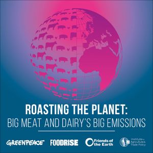 Image post by @greenpeace on Instagram