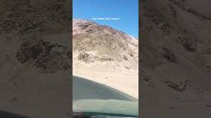 Video post by @allisonhollandmedia on YouTube