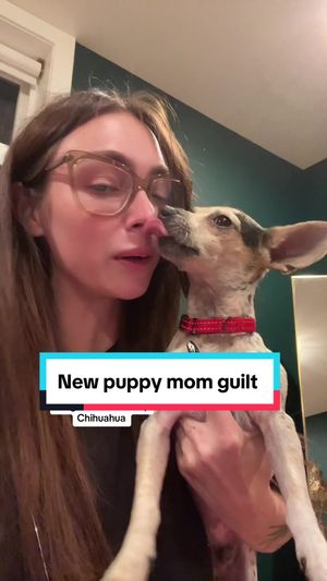Video post by @oliviamancuso__ on TikTok