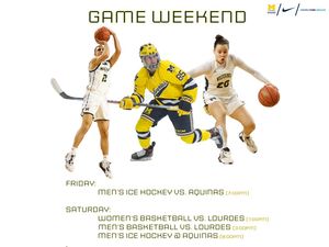 Image post by @goumdearborn on Instagram