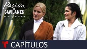 Video post by @telemundo on YouTube