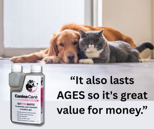 Image post by @caninecareprobiotic on Instagram