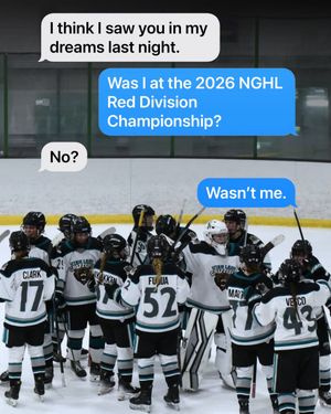 Image post by @utahladygrizzlieshockey on Instagram