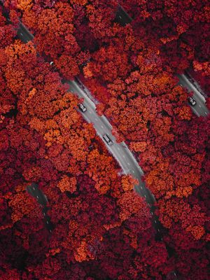 Image post by @droneartgallery on Instagram