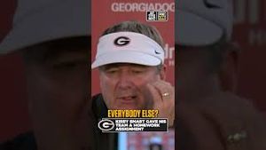 Video post by @cfbonfox on YouTube