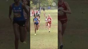 Video post by @runnerspace on YouTube
