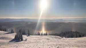 Image post by @allison_cole on Instagram