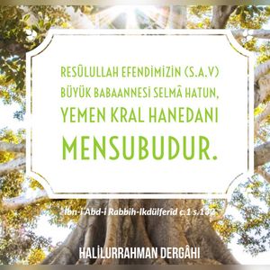 Image post by @naksibendibursevi on Instagram