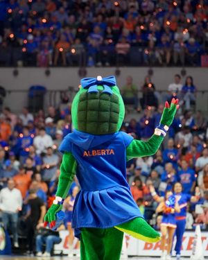 Image post by @albertathegator on Instagram