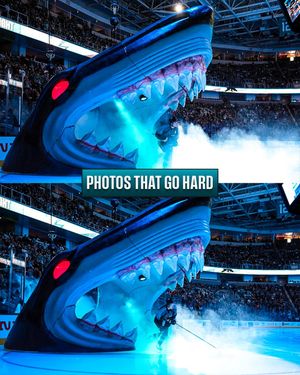 Image post by @nhl on Instagram