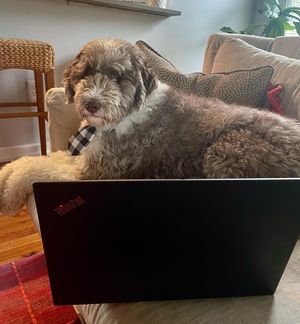 Image post by @floofy.coopy.doodle on Instagram
