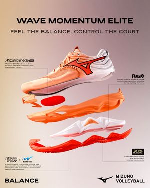 Image post by @mizunovolleyballusa on Instagram