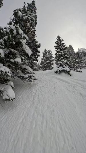 Video post by @jskis on Facebook