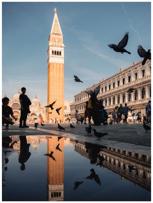 Image post by @moment on Instagram