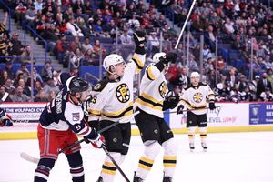 Image post by @TheAHL on Twitter