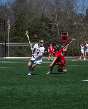 Image post by @leeuwlax on Instagram