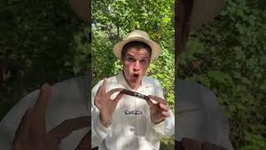 Video post by @bryanvogtnilsen on YouTube