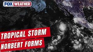 Video post by @foxweather on YouTube
