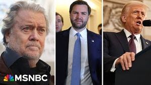 Video post by @msnbc on YouTube