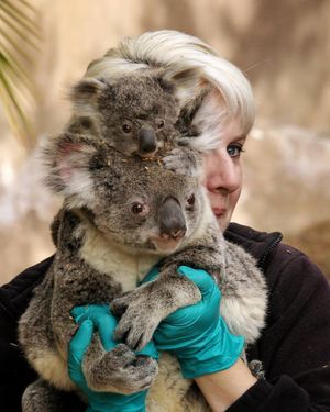 Image post by @sandiegozoo on Instagram