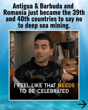 Image post by @greenpeace on Instagram