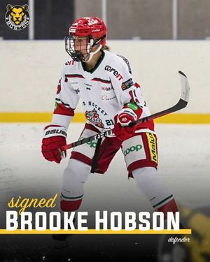 Image post by @TheBostonPride on Twitter