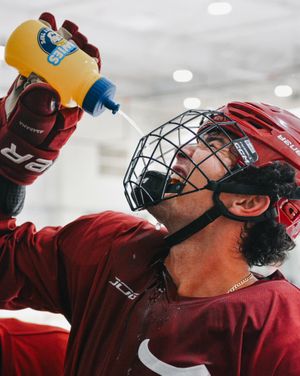 Image post by @alabamahockeyd3 on Instagram
