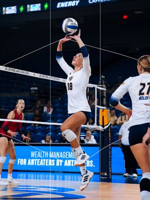 Image post by @uciwvb on Instagram