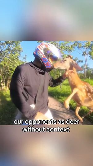 Video post by @bucks on TikTok