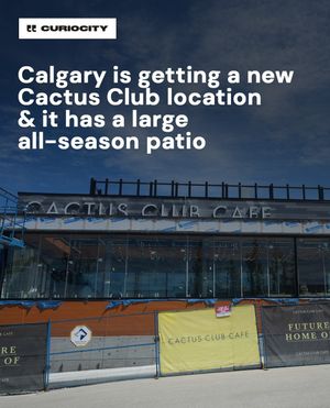 Image post by @curiocitycalgary on Instagram