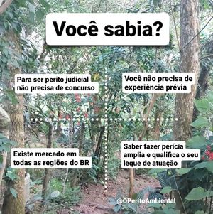 Image post by @operitoambiental on Instagram
