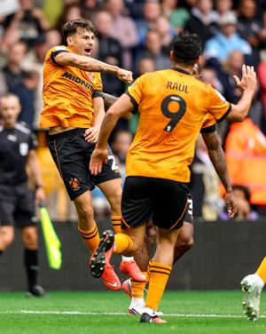 Image post by @wolves on Instagram