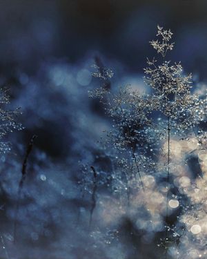 Image post by @vsco on Instagram