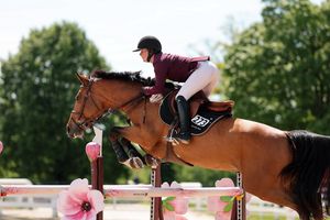 Image post by @kyhorseshows on Instagram