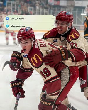 Image post by @MinotauroHockey on Twitter
