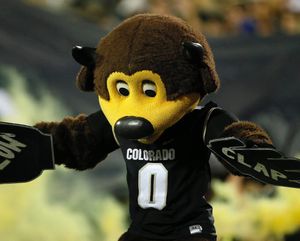 Image post by @chipthebuffalo on Instagram