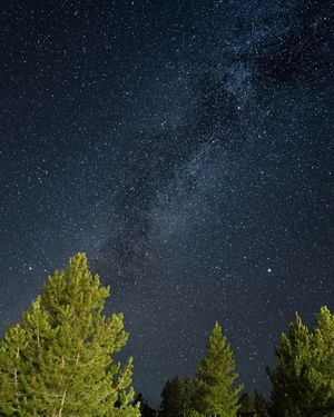 Image post by @mayasinghphotos on Instagram