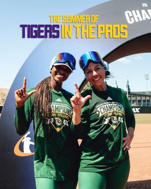 Image post by @lsusoftball on Instagram