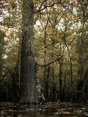 Image post by @realtreeoutdoors on Instagram