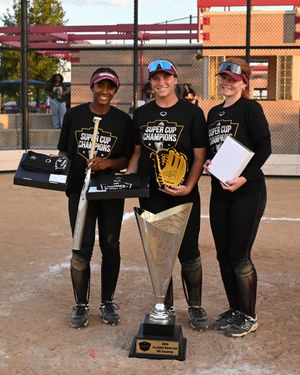 Image post by @thealliancefastpitch on Instagram
