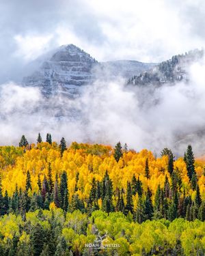 Image post by @noahwetzel on Instagram