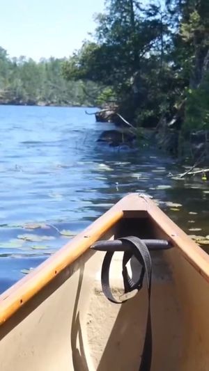 Video post by @grandelylodge on Facebook